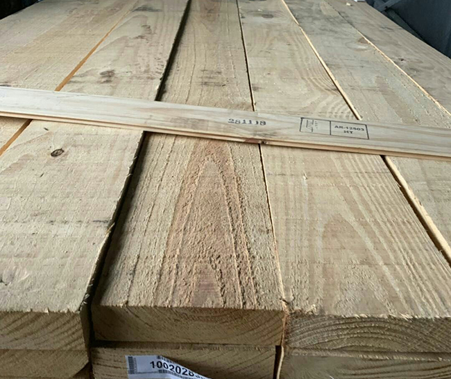 泰宁阿根廷松木